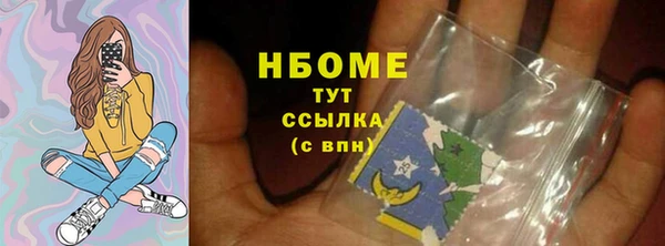 прущий лед Богданович