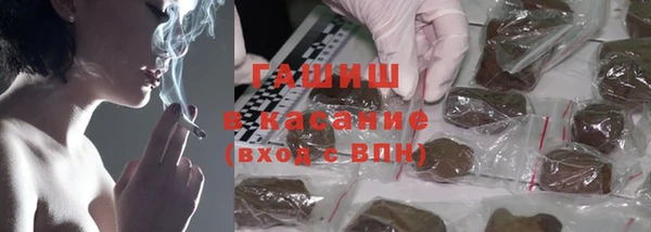 прущий лед Богданович
