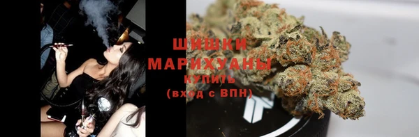 прущий лед Богданович