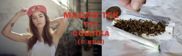 прущий лед Богданович