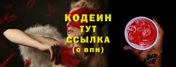 прущий лед Богданович