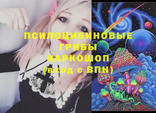 прущий лед Богданович