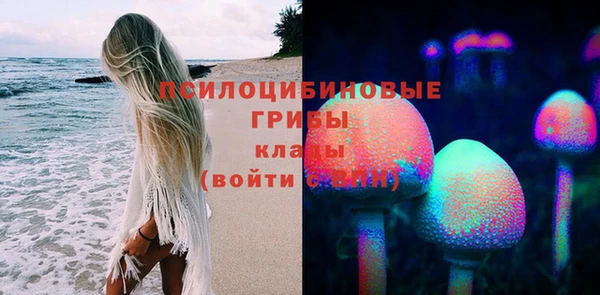прущий лед Богданович