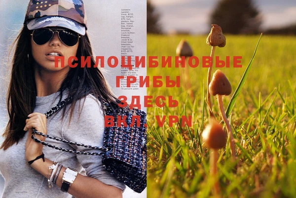 прущий лед Богданович
