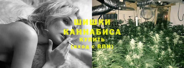 прущий лед Богданович
