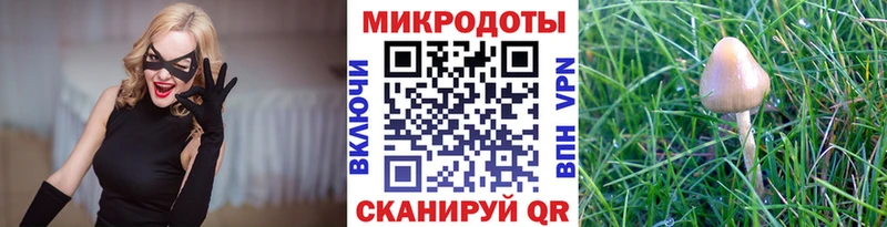 Псилоцибиновые грибы Psilocybe Тихвин